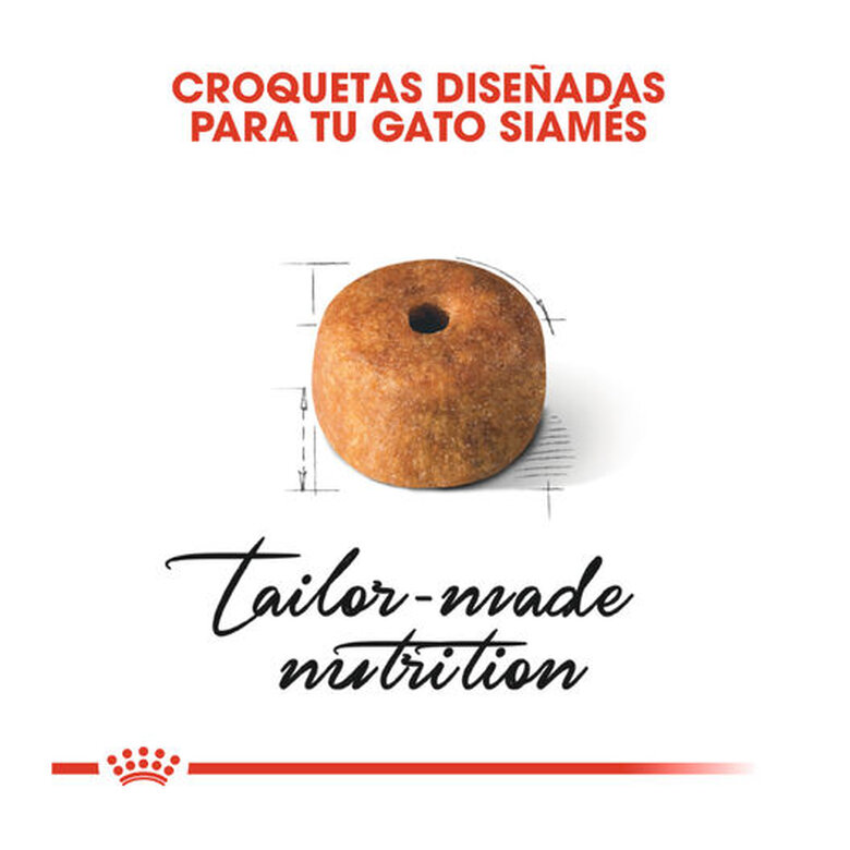 10 kg Royal Canin Adult Siamês ração para gatos,  Imagem número 5 10 kg Royal Canin Adult Siamês ração para gatos, , large Imagem número 5