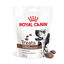 230 g Royal Canin Treats Gastrointestinal Snacks para cães, , large Indicador imagem número 1