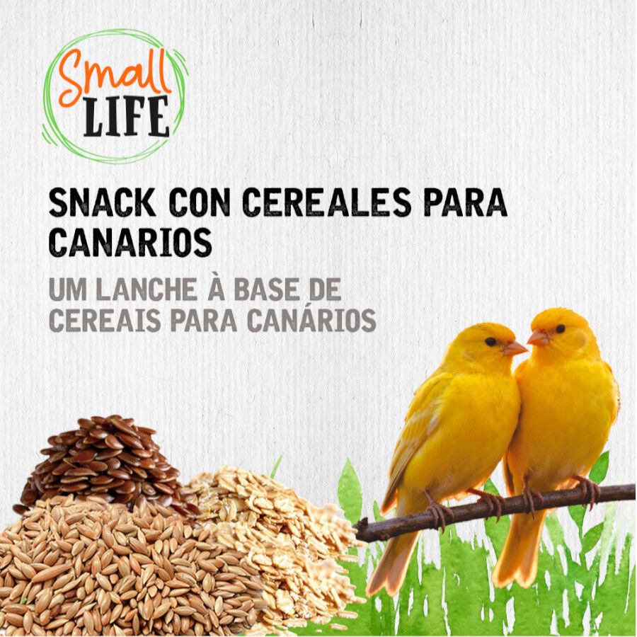 2 barritas Small Life Barritas Snack com Cereais para can&aacute;rios, , large Imagem n&uacute;mero 4