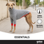 Gotoo Camisola Cinzenta para galgos, , large Indicador imagem n&uacute;mero 6