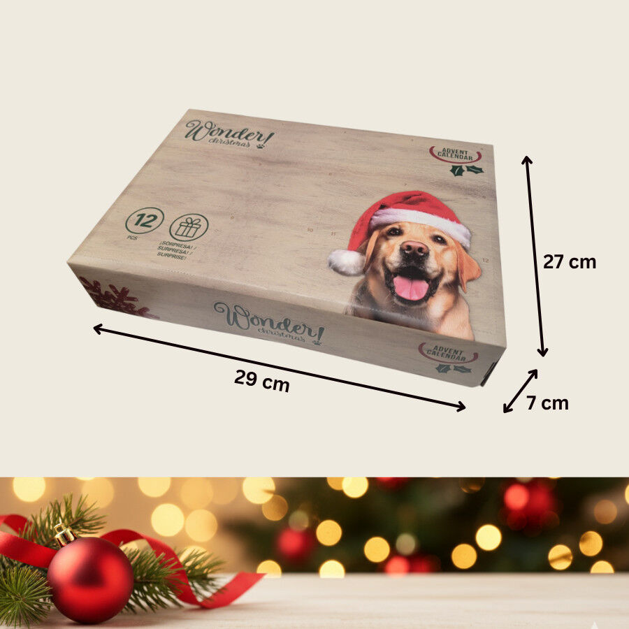 Wonder Christmas Caixa surpresa com brinquedos de Natal para C&atilde;es, , large Imagem n&uacute;mero 4