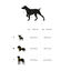 Dukier Clássico Peitoral com Estampado de Pássaros para cães, , large Indicador imagem número 2