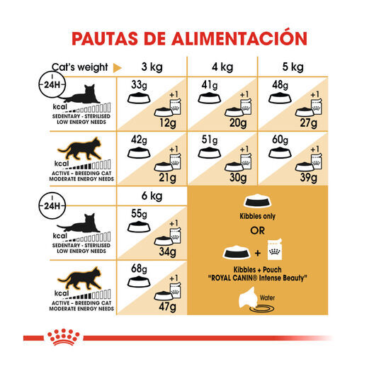 10 kg Royal Canin Adult Siam&ecirc;s ra&ccedil;&atilde;o para gatos, , large Imagem n&uacute;mero 8