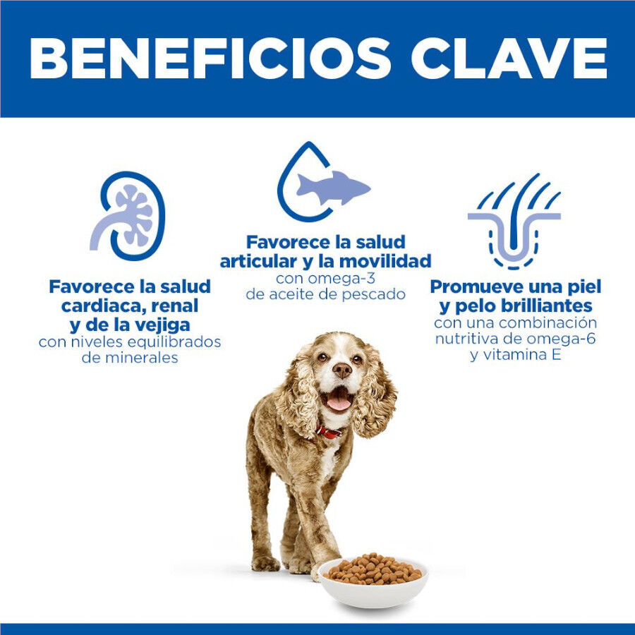 1.5 kg Hill's Small y Mini Senior Science Plan Frango ra&ccedil;&atilde;o para c&atilde;es, , large Imagem n&uacute;mero 5