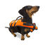 TK-Pet Colete Salva-vidas Laranja para cães, , large Indicador imagem número 1