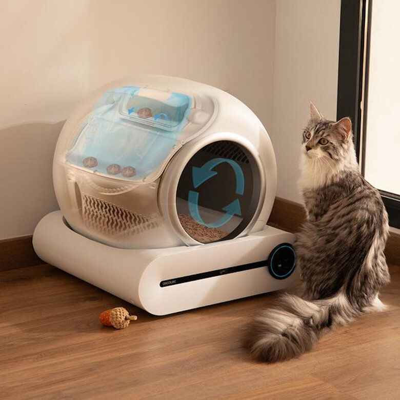 Cecotec Pumba 8000 CleanKitty Smart Caixa sanitária autolimpante para gatos,  Imagem número 4 Cecotec Pumba 8000 CleanKitty Smart Caixa sanitária autolimpante para gatos, , large Imagem número 4