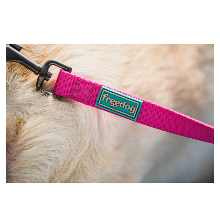 Freedog Cool Pro Tech Trela Desportiva F&uacute;scia para c&atilde;es, , large Imagem n&uacute;mero 2