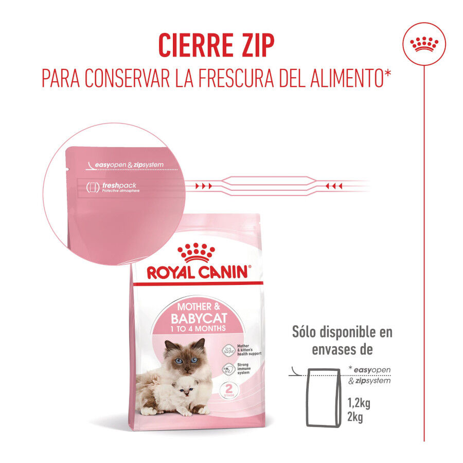 2 x 4 kg Royal Canin Mother & Baby ra&ccedil;&atilde;o para gatos Pack poupan&ccedil;a!, , large Imagem n&uacute;mero 11