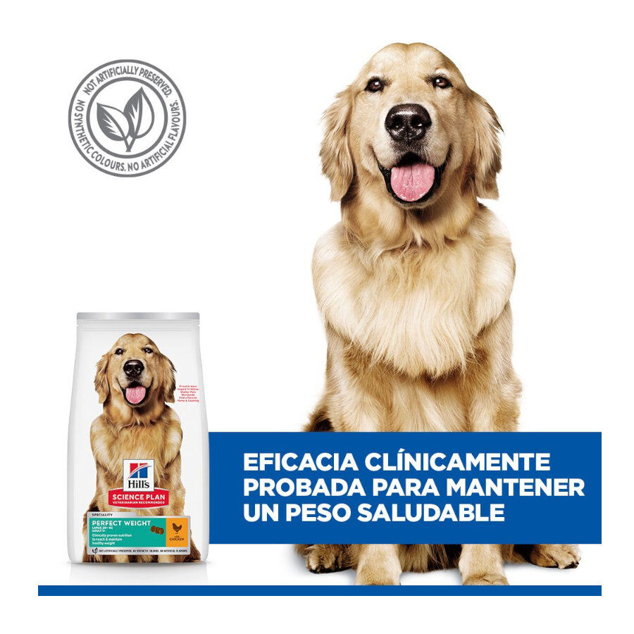 12 kg Hill's Science Plan Perfect Weight Adult Large Frango ra&ccedil;&atilde;o para c&atilde;es, , large Imagem n&uacute;mero 6