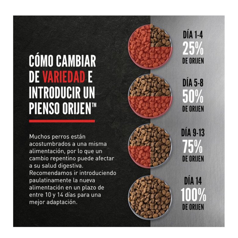 11 kg Orijen Puppy Large ração para cães,  Imagem número 5 11 kg Orijen Puppy Large ração para cães, , large Imagem número 5