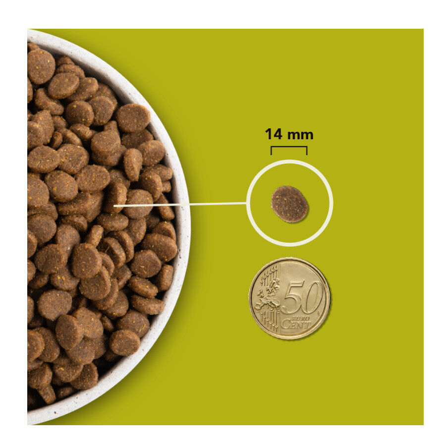 11.4 kg Acana Grasslands Ra&ccedil;&atilde;o para c&atilde;es, , large Imagem n&uacute;mero 7