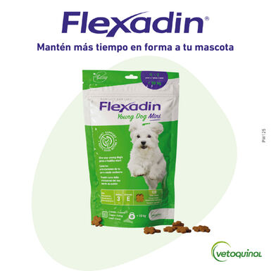 Vetoquinol Flexadin Young Mini Condroprotetor para cães