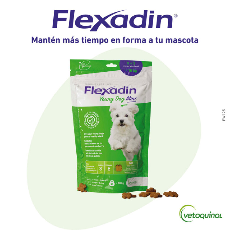 Vetoquinol Flexadin Young Mini Condroprotetor para cães, , large image number null