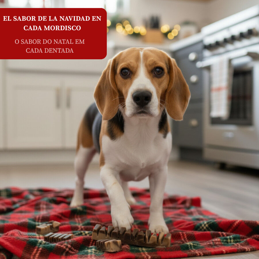 1 stick Wonder Christmas Doglerone Snack de Natal para c&atilde;es, , large Imagem n&uacute;mero 4