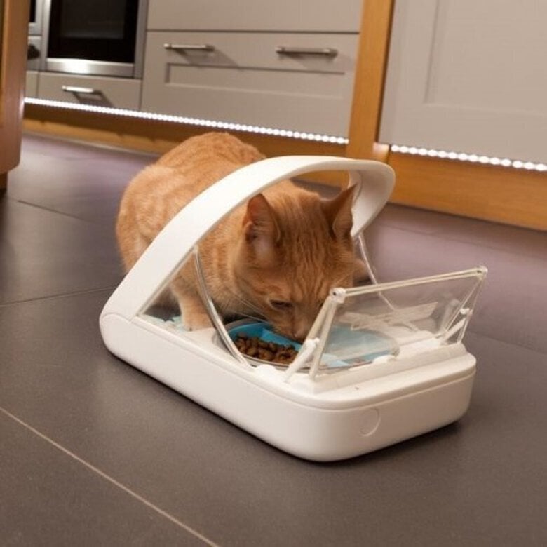 Sure Petcare Surefeed Comedouro Automático com Microchip,  Imagem número 3 Sure Petcare Surefeed Comedouro Automático com Microchip, , large Imagem número 3