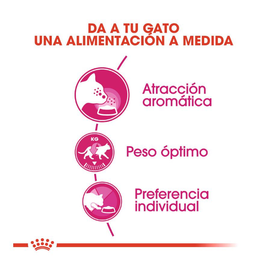 0.4 kg Royal Canin Adult Exigent Aroma ra&ccedil;&atilde;o para gatos, , large Imagem n&uacute;mero 4