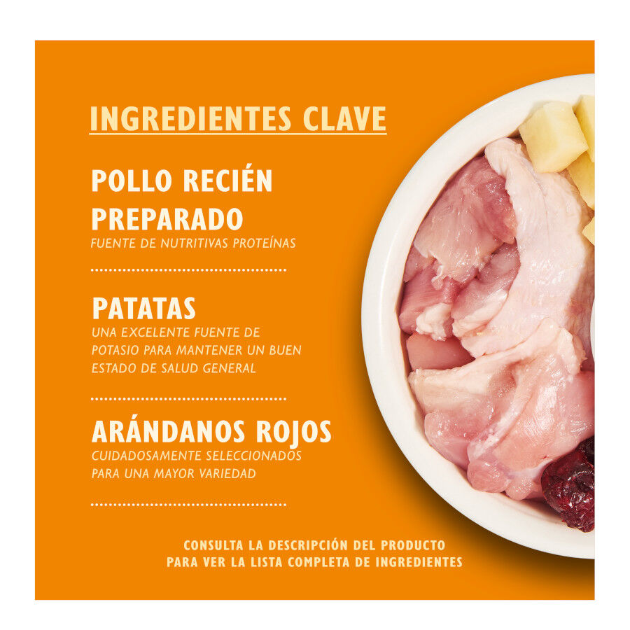 4 kg Lily's Kitchen Grain Free Frango ra&ccedil;&atilde;o para gatos, , large Imagem n&uacute;mero 2