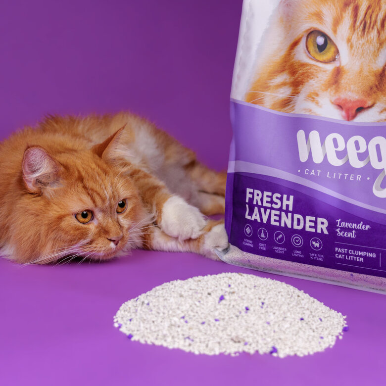 Weego Fresh Lavender Areia Aglomerante para gatos,  Imagem número 6 Weego Fresh Lavender Areia Aglomerante para gatos, , large Imagem número 6