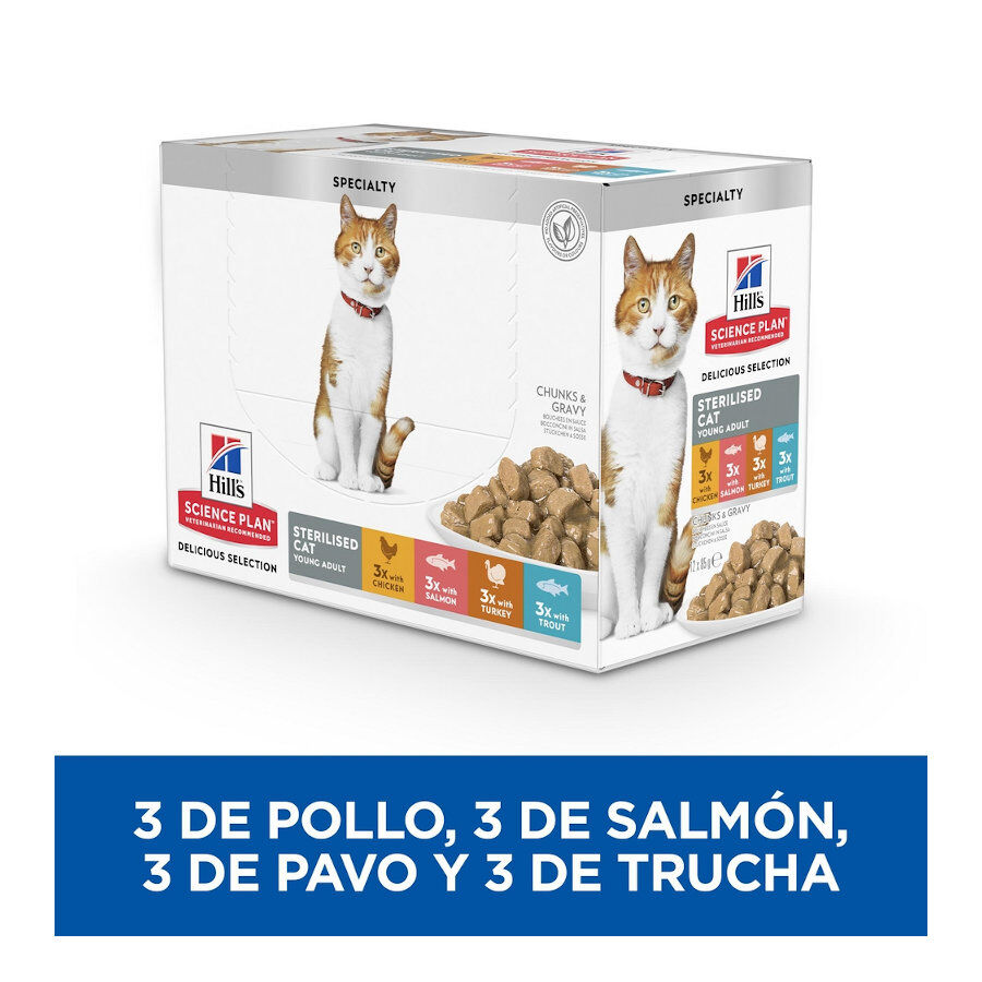 12 saquetas x 85 g Hill's Young Adult Science Plan Sterilised Carne e Peixe saqueta para gatos - Multipack 12, , large Imagem n&uacute;mero 3