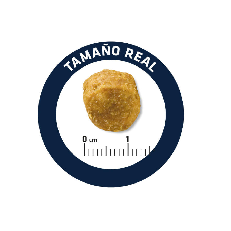 12 kg Advance Urinary Low Purine ra&ccedil;&atilde;o para c&atilde;es, , large Imagem n&uacute;mero 5