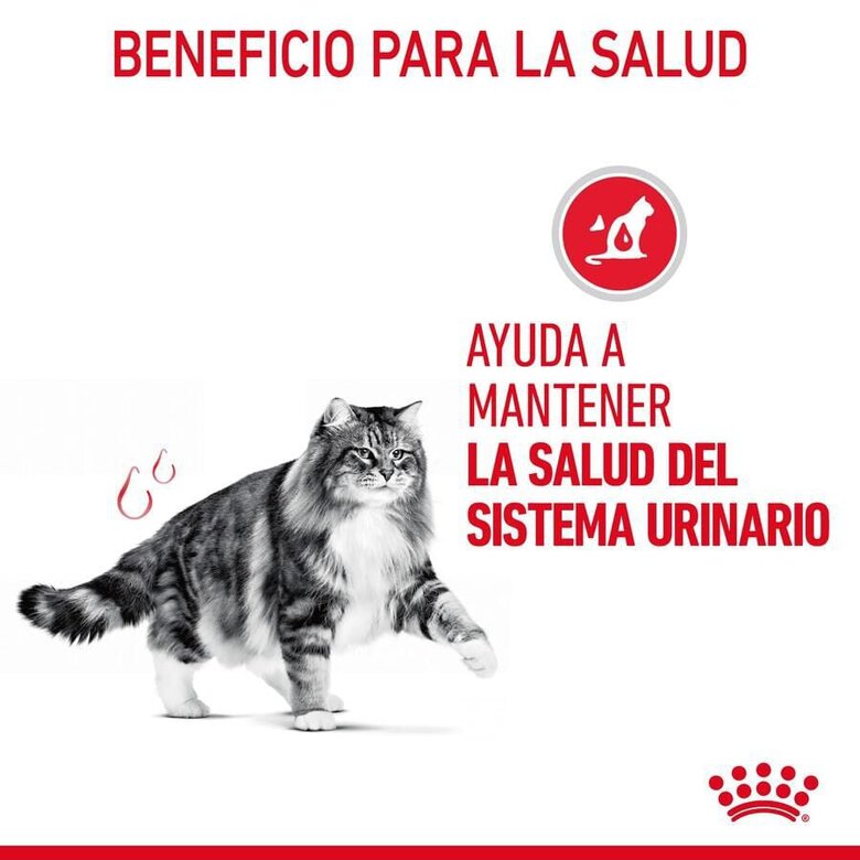 10 kg Royal Canin Urinary ração para gatos,  Imagem número 6 10 kg Royal Canin Urinary ração para gatos, , large Imagem número 6