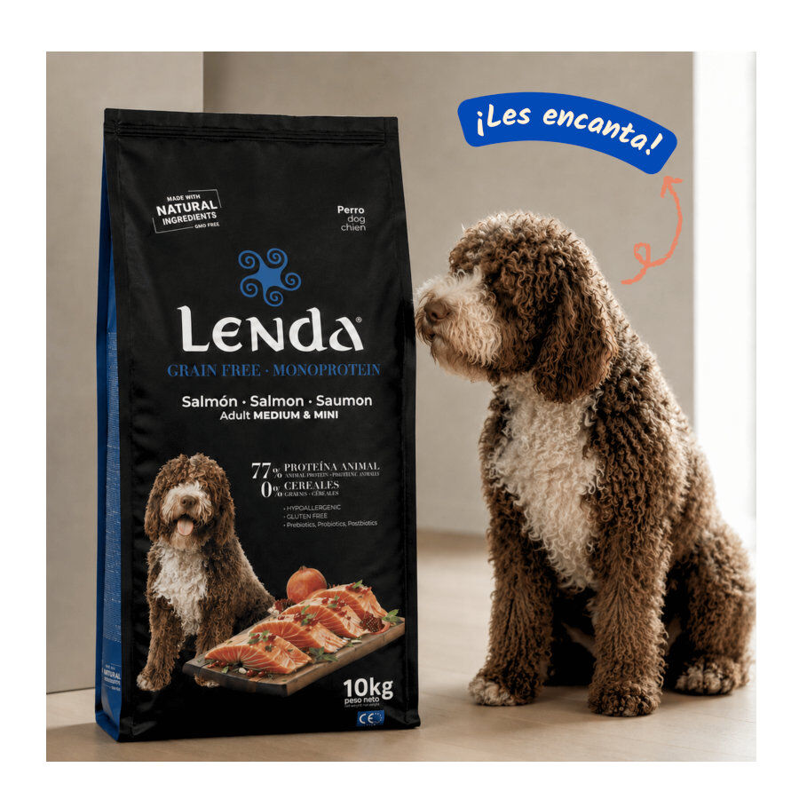 10 kg Lenda Grain Free Ra&ccedil;&atilde;o de Salm&atilde;o para c&atilde;es, , large Imagem n&uacute;mero 3
