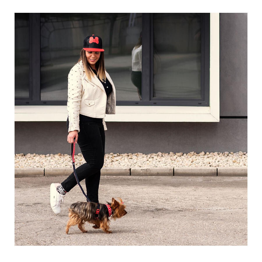 Disney Minnie Mouse Bon&eacute; com viseira plana para humanos, , large Imagem n&uacute;mero 2