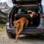 Outech X-perience Transportadora de tela para c&atilde;es pequenos, , large Indicador imagem n&uacute;mero 6