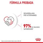 Royal Canin Puppy Maxi ração para cães, , large image number null