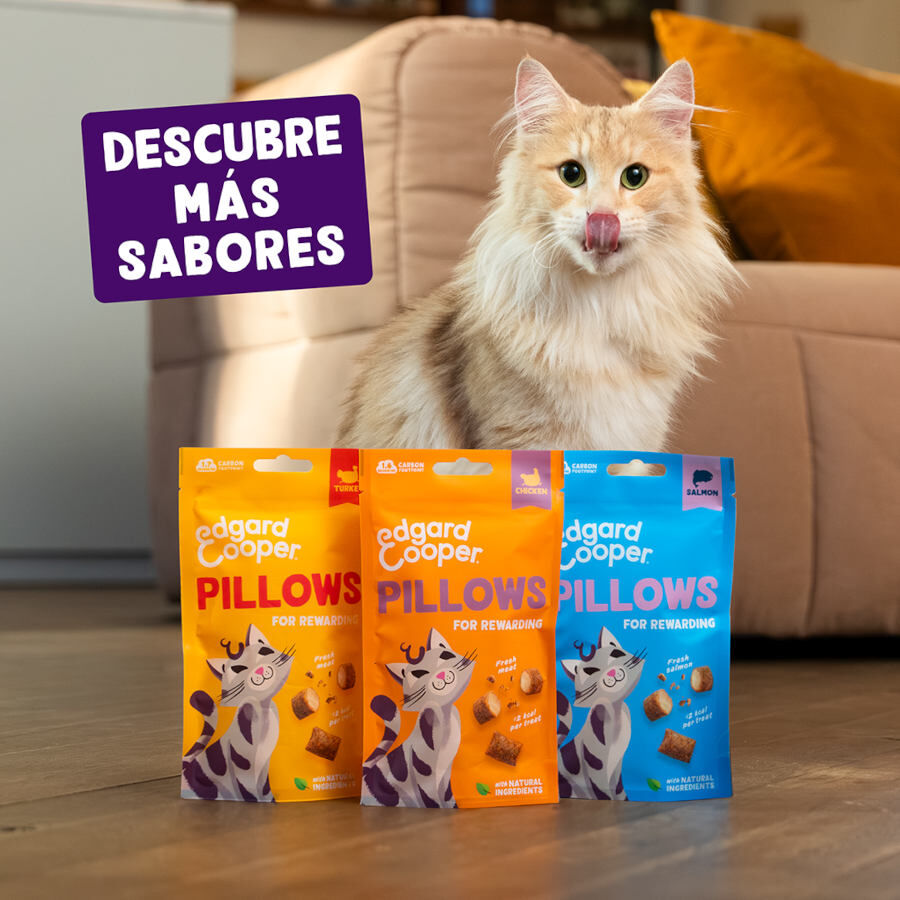 60 g Edgard & Cooper Pillows Snack de salm&atilde;o para gatos   , , large Imagem n&uacute;mero 7