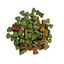 Wonder Christmas Biscoitos Pequenos para cães, , large Indicador imagem número 1