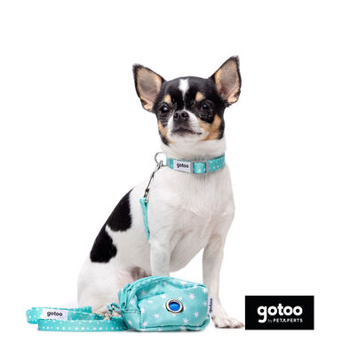 Gotoo Set de Coleira e Trela estampada verde para cães