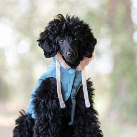 Freedog Iceguard Capa de Chuva Azul-claro para cães