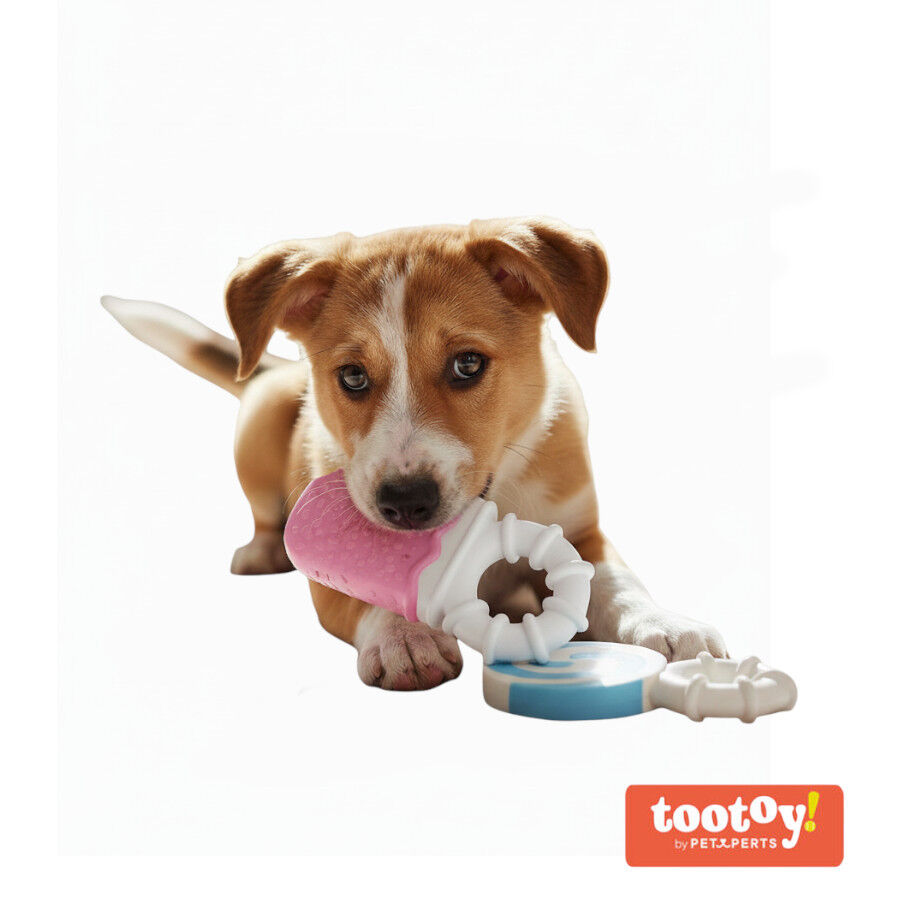 Tootoy! Puppy Mordedor Ice Cream para cachorros, , large Imagem n&uacute;mero 10