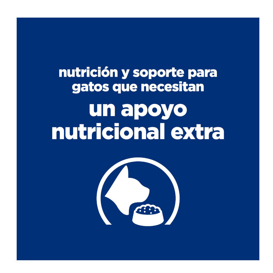 82 g Hill's Prescription Diet Feline Alimento h&uacute;mido de frango estofado e legumes para gatos, , large Imagem n&uacute;mero 6