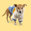 Outech Colorblock Pijama para perros borreguito abrigado Indicador imagem número 3