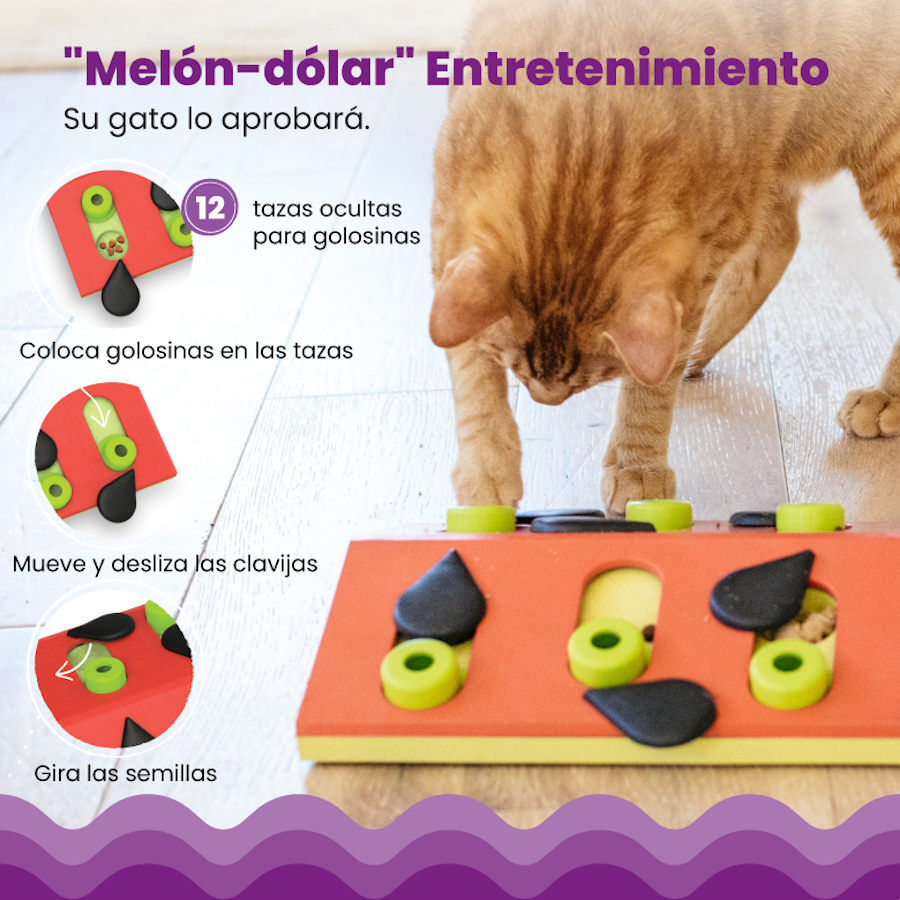 Catstages Nina Ottosson Puzzle & Play Melon Madness Brinquedo de Intelig&ecirc;ncia para gatos, , large Imagem n&uacute;mero 5