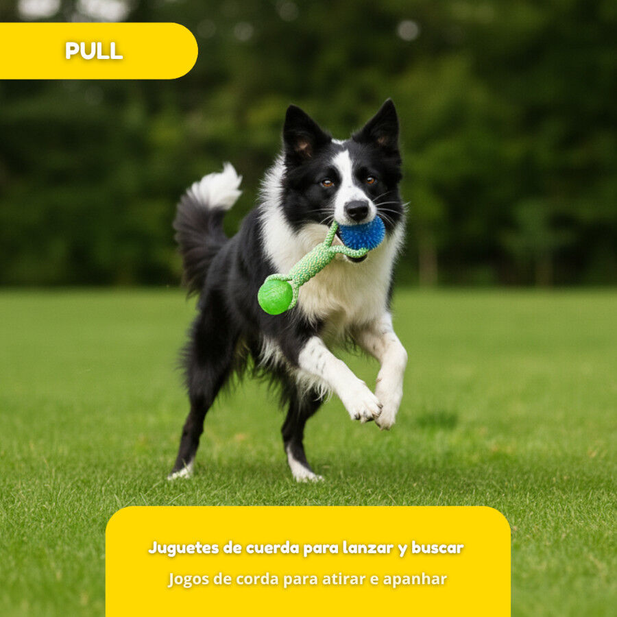 Tootoy! Pull Brinquedo de corda com duas bolas para c&atilde;es, , large Imagem n&uacute;mero 5
