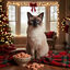50 g Wonder Christmas Petiscos de Natal para gatos, , large Indicador imagem número 2