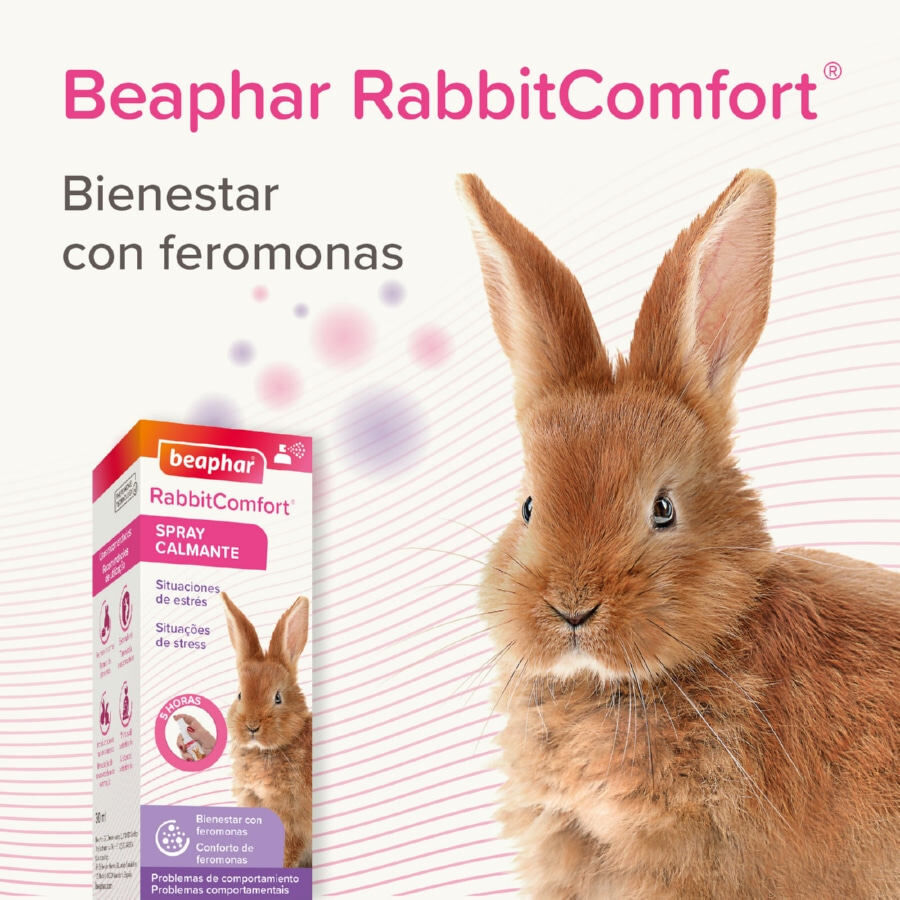 Beaphar Rabbitcomfort Spray tranquilizante para coelhos, , large Imagem n&uacute;mero 6