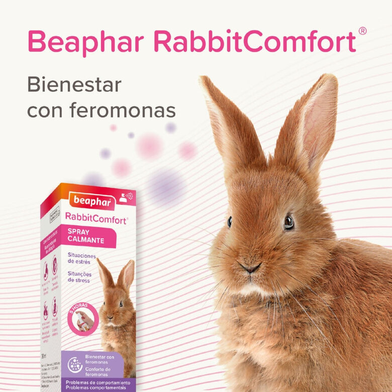 Beaphar Rabbitcomfort Spray tranquilizante para coelhos, , large image number null