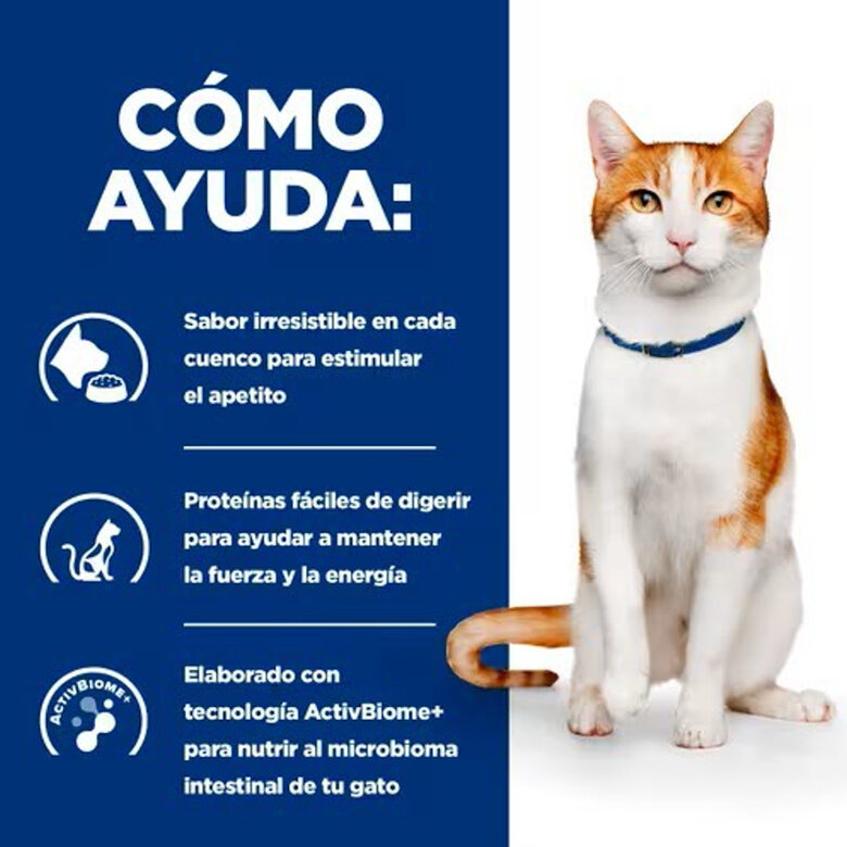 1.5 kg Hill's Prescription Diet ON-Care Frango ração para gatos,  Imagem número 2 1.5 kg Hill's Prescription Diet ON-Care Frango ração para gatos, , large Imagem número 2