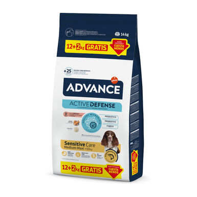 Advance Active Defense Medium Maxi Sensitive Salmão e Arroz ração para cães