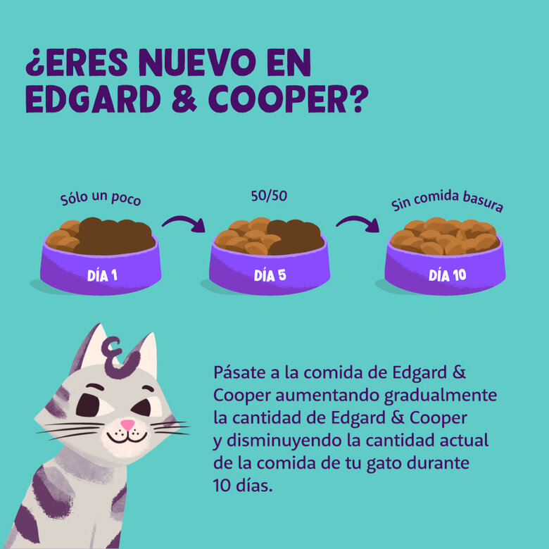Edgard & Cooper Adult Cordeiro e Frango em Patê terrina para gatos, , large image number null