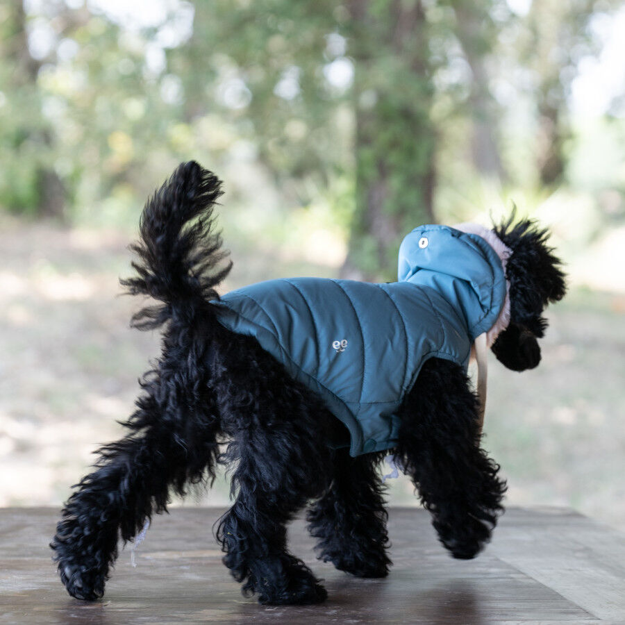 Freedog Iceguard Capa de Chuva Azul-claro para c&atilde;es, , large Imagem n&uacute;mero 3