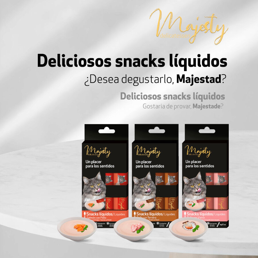 6 saquetas x 15 g Majesty Snack l&iacute;quido Chicken and Scallop para gatos, , large Imagem n&uacute;mero 3