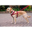 Halti Peitoral de Nylon Vermelho para cães, , large Indicador imagem número 2