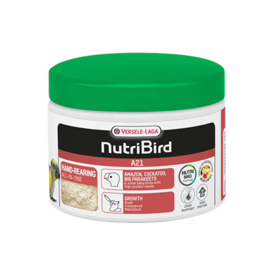 800 g Versele-Laga NutriBird A21 Papilla para cr&iacute;a de loros, , large Imagem n&uacute;mero 1