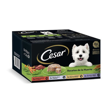 Cesar Recetas da horta Terrina em Patê e Geleia para Cães - Multipack