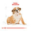Royal Canin Puppy Bulldog ração para cães, , large Indicador imagem número 4